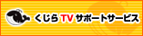 TVT|[gT[rX